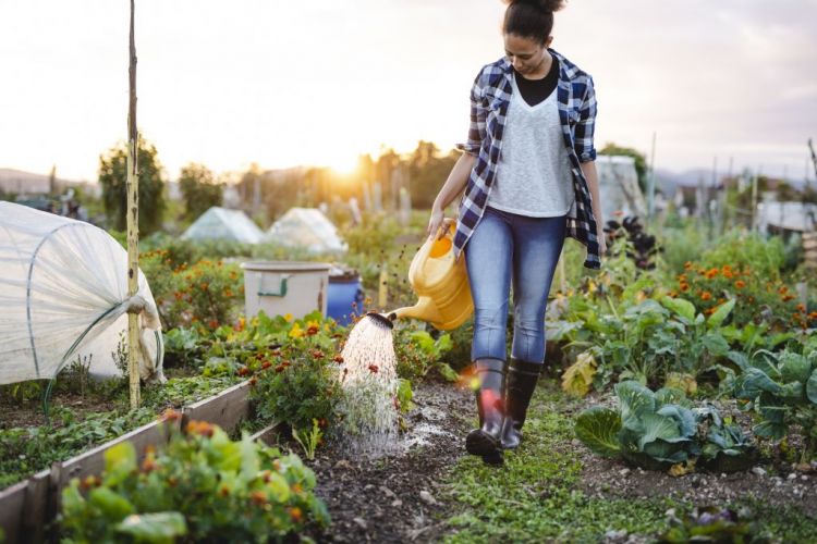 Frau mit einer Gießkanne im Garten