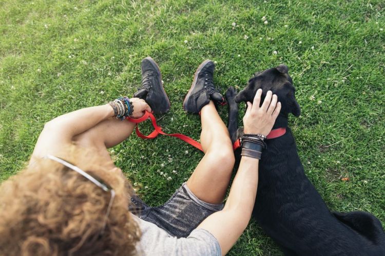 Mann hat Spaß mit seinem Hund