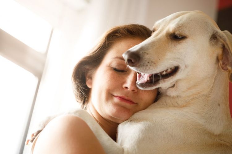 Die Unglaubliche Bindung zwischen Mensch und Hund